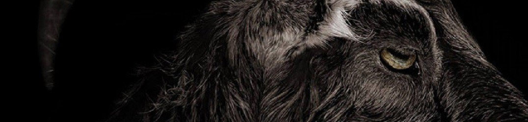 Enepsigos: tracklist e cover di "Plague ov Plagues"
