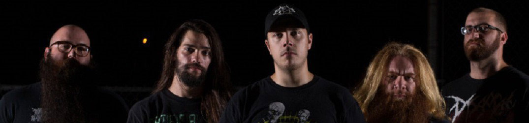 Cognitive: video clip da "Deformity"