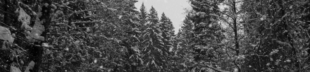 Marrasmieli: ascolta il singolo 'Aallot', nuovo album a breve tramite Naturmacht Productions