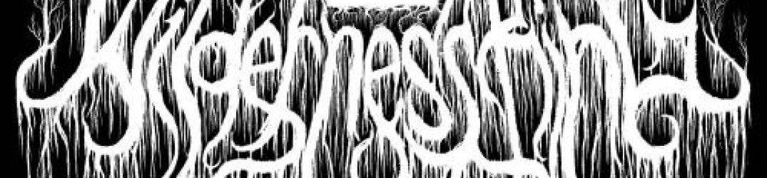 Wildernessking: ".​.​.and the Night Swept Us Away​/The Devil Within" in streaming