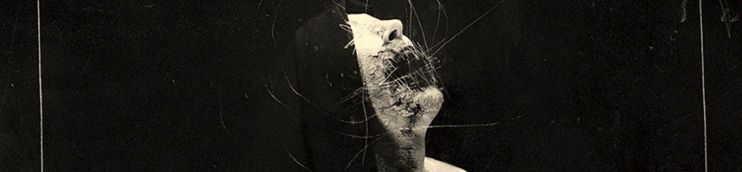 Medico Peste: publicata la nuova song 'Hallucinating Warmth and Bliss'