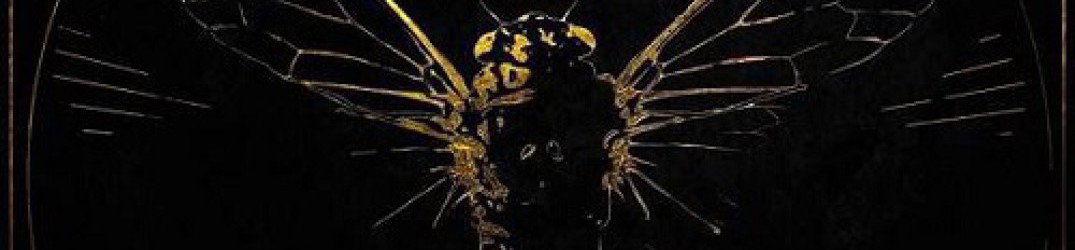 October Tide: in streaming 'Coffins of November'