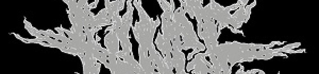 Fange: titolo del full-length di debutto