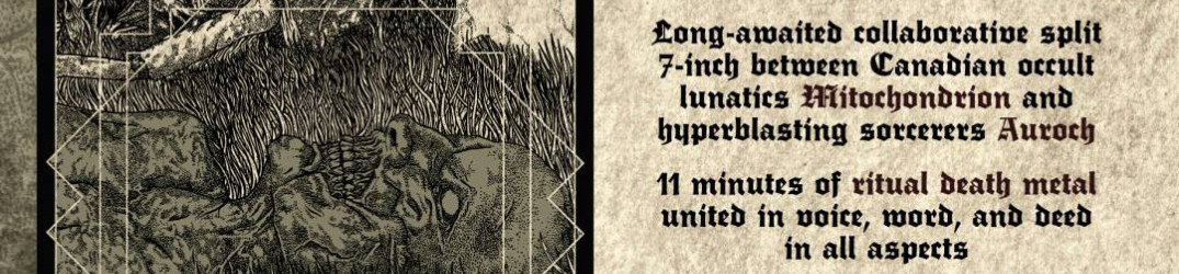 Auroch: in streaming lo split con i Mitochondrion