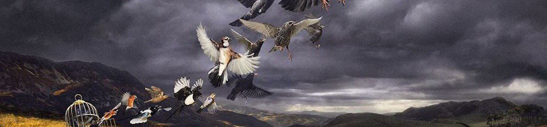 Pink Floyd: pubblicato il video "Today" di David Gilmour