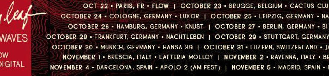 The Album Leaf: guarda l'official music video di 'Between Waves'