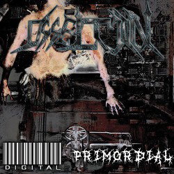 Digital/Primordial
