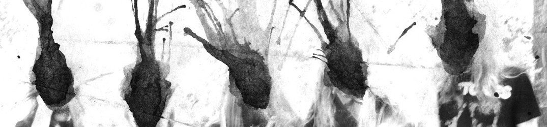 Numenorean: "Home" tutto in streaming