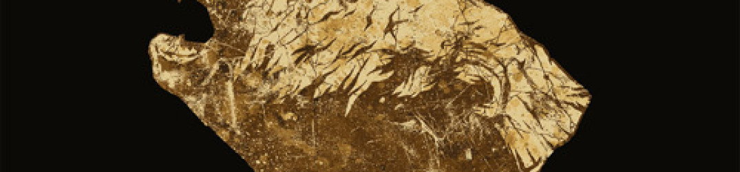 Crippled Black Phoenix: guarda il video ufficiale di 'Scared and Alone'