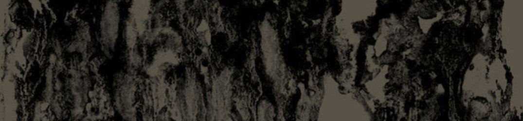 Swamp Witch: "The Slithering Bog" su vinile, song on-line