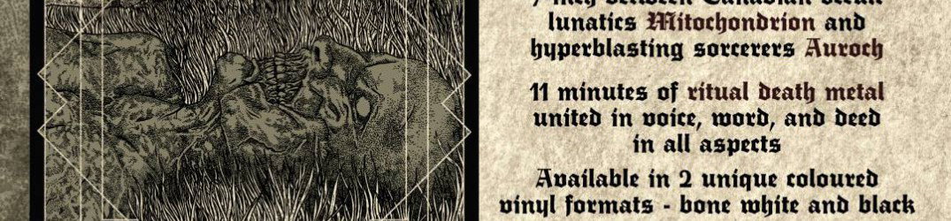 Auroch: dettagli del nuovo album