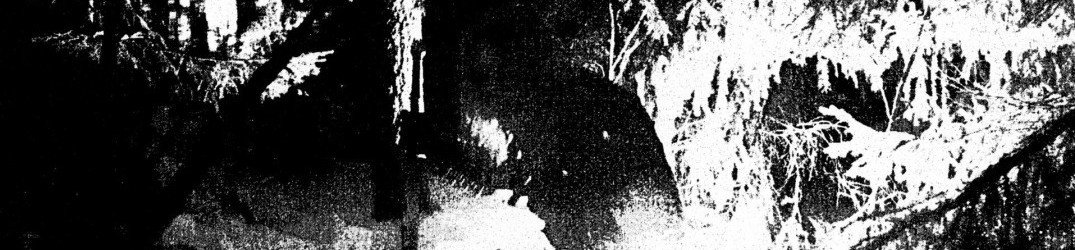 Satanic Warmaster: reissue di "Black Metal Kommando / Gas Chamber", song on-line