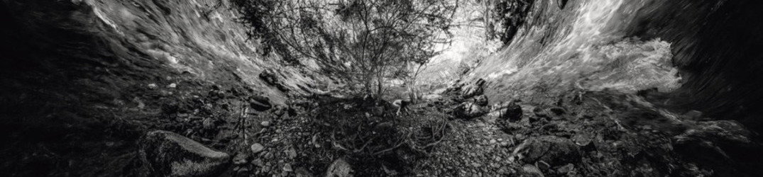 Ars Magna Umbrae: firmato il contratto discografico, album in streaming