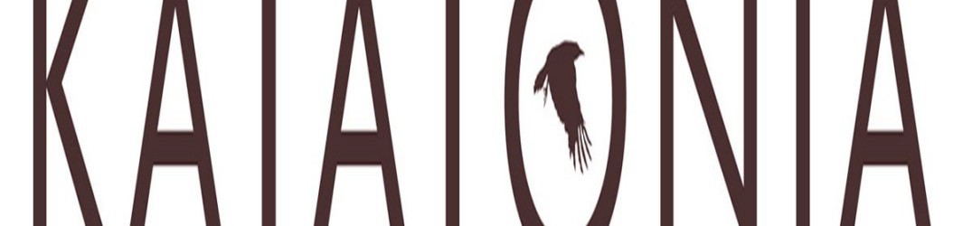 Katatonia: annunciate le band di supporto per il "Fallen Hearts tour" 2016