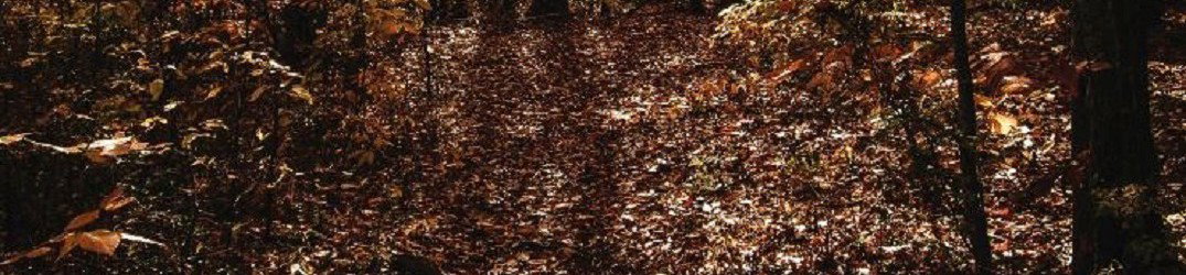 Noltem: ascolta in streaming completo "Mannaz" EP