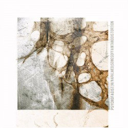 Songs Of Faint And Distortion