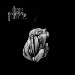 Iliac Thorns: tracklist e copertina di 'IT'