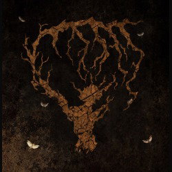 Deadly Carnage: di nuovo in studio
