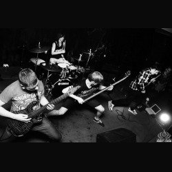 The Hysteria: in streaming il video di 'Black Cat wailing at the moon'