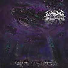 Discending To The Worms