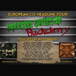 Buckcherry: online il videoclip "Nothing Left But Tears"