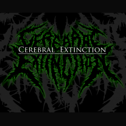 Cerebral Extinction: aggiornamenti dal gruppo