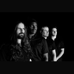 Sepultura (Andreas Kisser)