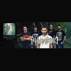 Right To The Void: pubblicano il video di "Kingdom Of Vanity"