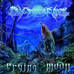 Crying Moon