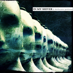 In my shiver: pronto il nuovo disco