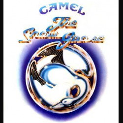 Camel: la band britannica torna in Italia