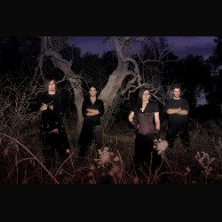 The Strigas: debuttano per la Southern Brigade Records