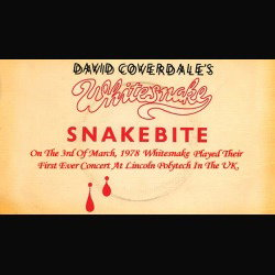 Whitesnake: disponibile online un video dal primo concerto della band