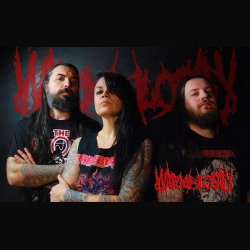 Warmblood: in arrivo il nuovo album