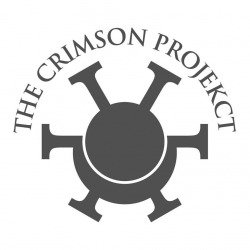 Live Report: The Crimson ProjeKCt a Roma
