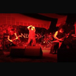 Necrosy: uscito video live