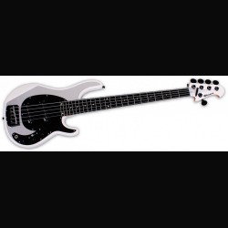 Alberto Rigoni: presenta il suo 'Hybrid Signature Bass'