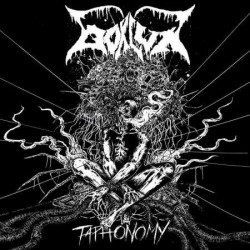 Taphonomy