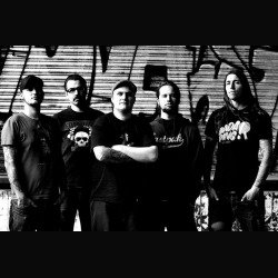 HateSphere: data in Italia con i Finntroll