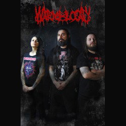 Warmblood: terminato il missaggio del nuovo album