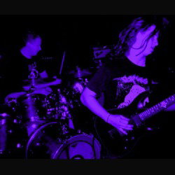 Shards Of Humanity: debut-album in arrivo