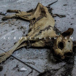 Across The Swarm [EP]