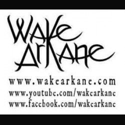 Wake Arkane: aggiornamenti sul debutto