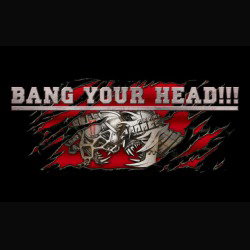 Bang Your Head Festival: i primi nomi dell'edizione 2015