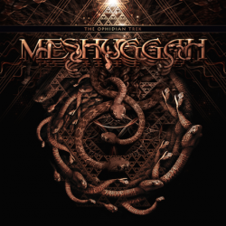 Meshuggah: tutti i dettagli di 'The Ophidian Trek'