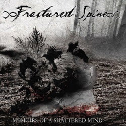 Memoirs Of A Shattered Mind