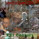 XXI century