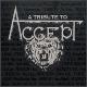 A tribute to Accept vol 1