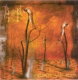 Copertina di Fields of Salvation