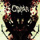 Necrosis